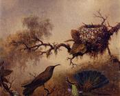 Martin Johnson Heade